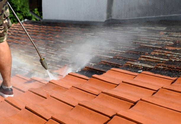 Pressure Washing Services for Businesses in Logan, IA