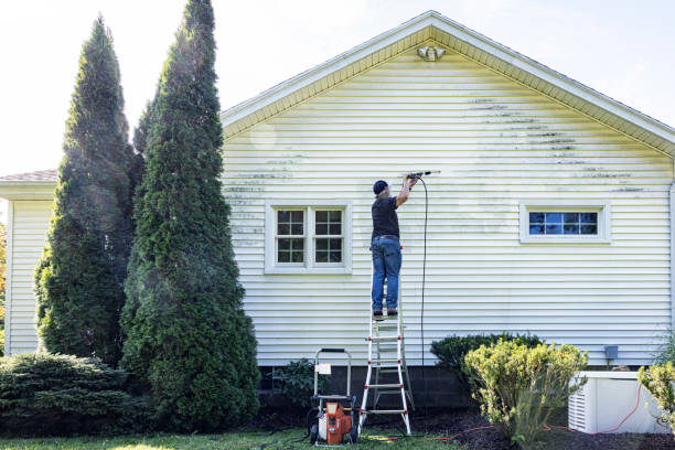 Best Deck Cleaning Services  in Logan, IA